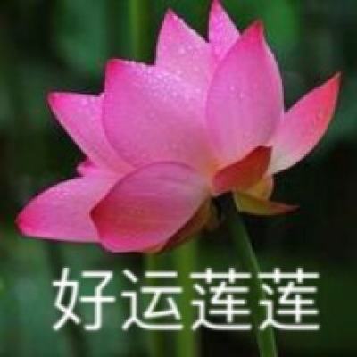 王者战盟官方版下载
